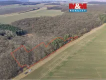 Prodej lesa, Slatiny, 6169 m2