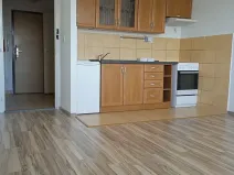Pronájem bytu 1+kk, Havířov, Letní, 30 m2
