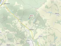 Dražba lesa, Zubrnice, 8765 m2