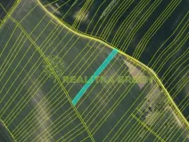 Prodej pole, Svatobořice-Mistřín, Hlavní, 8725 m2