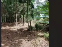 Prodej lesa, Červená Řečice, 214 m2