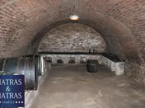 Prodej vinného sklepa, Pavlov, Rudolfa Gajdoše, 100 m2