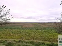 Prodej pole, Mělník, Kokořínská, 27040 m2