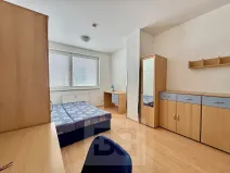 Pronájem bytu 1+kk, Brno, Cejl, 22 m2