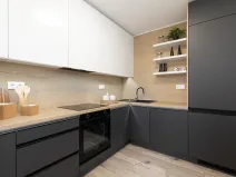 Prodej bytu 2+1, Ostrava, Mongolská, 49 m2