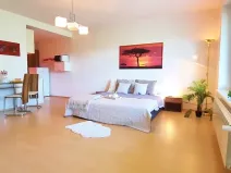 Pronájem bytu 1+kk, Brno, Šemberova, 51 m2