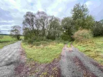 Prodej pozemku, Horní Dvořiště, 10042 m2