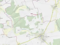 Dražba lesa, Koloveč, 703 m2