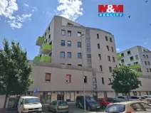 Pronájem bytu 5+kk, Praha, U hranic, 150 m2