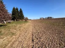 Prodej pozemku pro bydlení, Velká Bukovina, 2530 m2