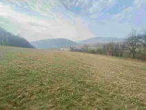 Dražba louky, Linhartice, 9269 m2