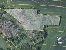 Prodej podílu lesa, Trhový Štěpánov, 6300 m2