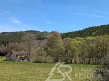 Prodej pozemku, Hartmanice - Chlum, 46489 m2