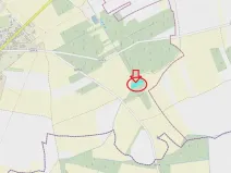 Prodej lesa, Krakovany, 3138 m2