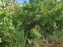 Prodej pozemku, Hlince, 192 m2