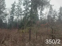 Prodej lesa, Nová Včelnice, 2797 m2