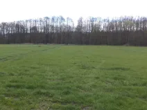 Prodej pole, Tachov, 2609 m2