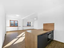 Pronájem bytu 1+kk, Plzeň - Severní Předměstí, Bolevecká, 55 m2