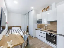 Pronájem bytu 1+kk, Zlín, Štefánikova, 24 m2