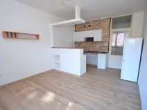 Pronájem bytu 1+kk, Frýdek-Místek, Javorová, 23 m2