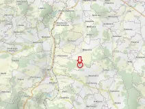 Prodej podílu lesa, Milejovice, 1918 m2
