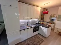 Pronájem bytu 1+kk, Praha - Podolí, Brabcova, 44 m2