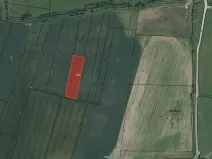 Prodej pole, Přeštice, 3451 m2