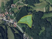 Prodej louky, Bystřice nad Pernštejnem, 26474 m2