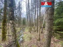 Prodej lesa, Volfířov - Brandlín, 5958 m2