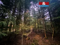 Prodej lesa, Blížejov, 6627 m2