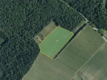 Prodej sadu/vinice, Bulhary, 63228 m2