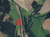 Prodej louky, Borovnice, 16910 m2