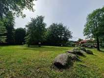 Prodej komerčního pozemku, Mařenice, 1610 m2