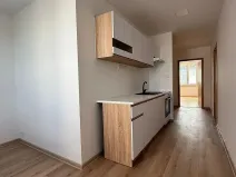Prodej bytu 2+1, Písek, nábřeží 1. máje, 60 m2