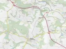 Dražba lesa, Trhový Štěpánov, 2201 m2