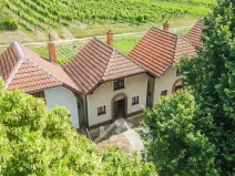 Prodej vinného sklepa, Čejkovice, 84 m2