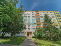 Pronájem bytu 1+1, Ostrava, Šeříková, 39 m2