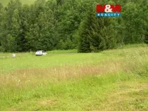 Prodej louky, Benecko, 4214 m2