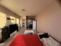 Prodej bytu 1+kk, Ostrava - Zábřeh, Petruškova, 28 m2