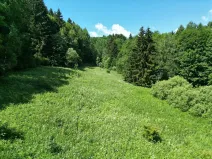 Prodej pozemku, Adršpach, 67106 m2