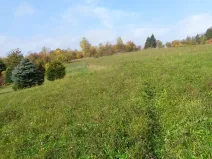 Prodej pozemku pro bydlení, Kosov, 11344 m2