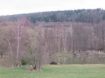 Dražba lesa, Ješetice, 8991 m2