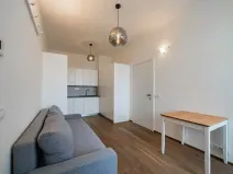 Pronájem bytu 1+1, Praha - Žižkov, Řehořova, 32 m2