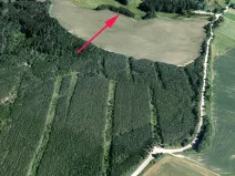 Prodej lesa, Dubnice, 815 m2