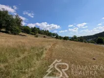 Prodej pozemku, Petrovice u Sušice - Pařezí, 4773 m2