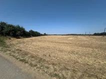 Prodej zahrady, Ořechov, 500 m2