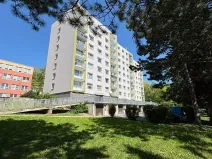 Pronájem bytu 1+1, Litvínov, Mládežnická, 38 m2