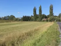 Dražba louky, Srby, 2383 m2