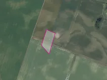 Prodej pole, Jestřabí Lhota, 7028 m2