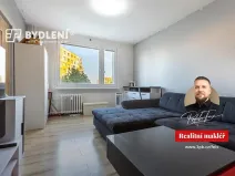 Prodej bytu 2+kk, Chomutov, 17. listopadu, 36 m2